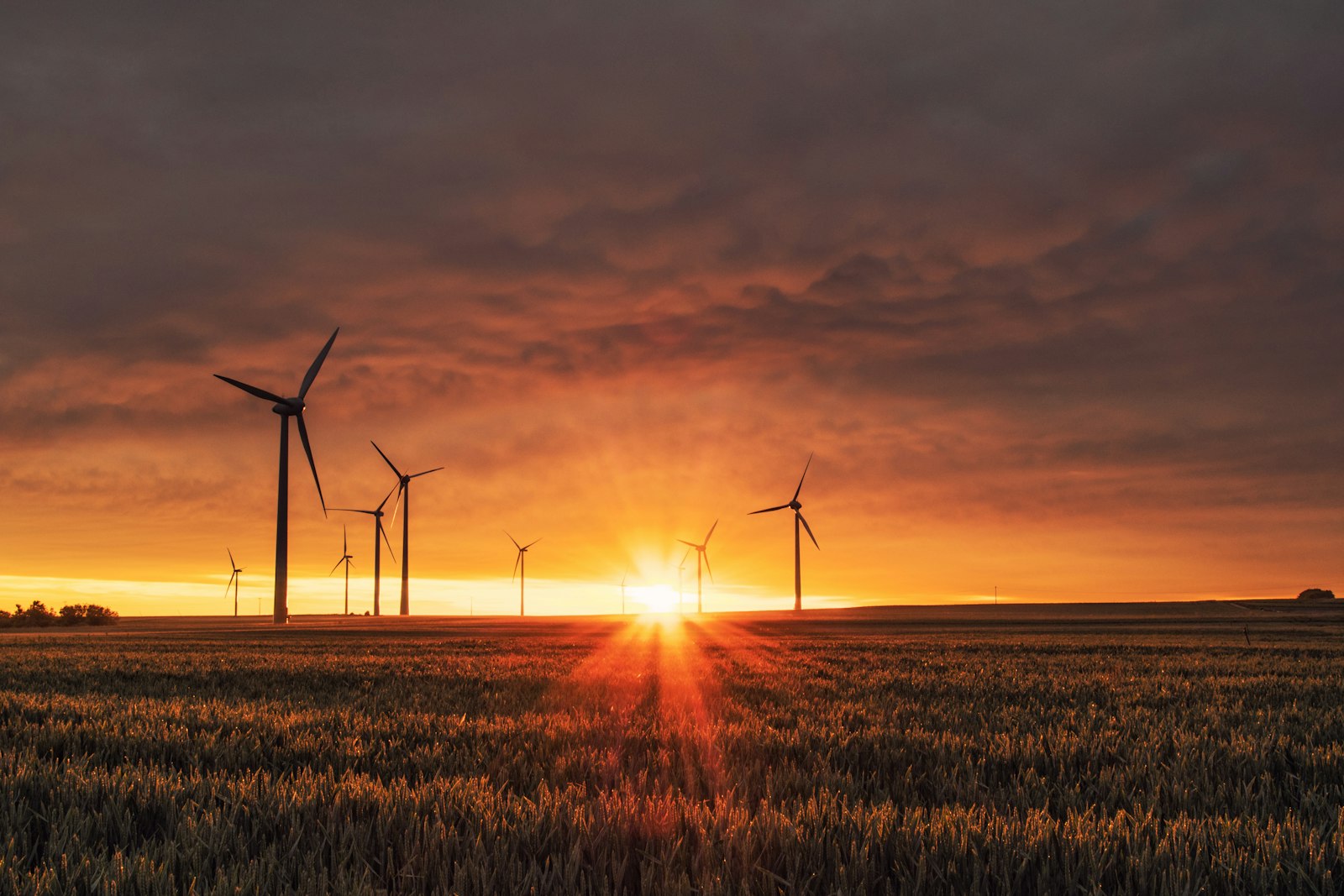 Solar and wind renewable energy at sunset